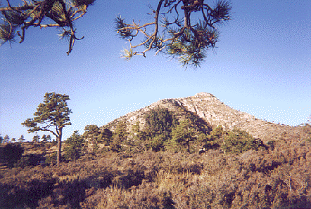 The Peak from Camp