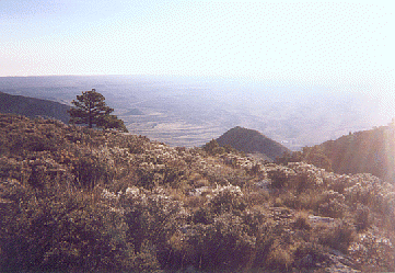 East, from Camp